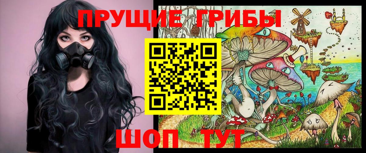 Красногорск  наркота  Вход с VPN  Псилоцибиновые грибы Psilocybine cubensis 